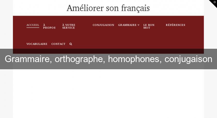 Grammaire, orthographe, homophones, conjugaison