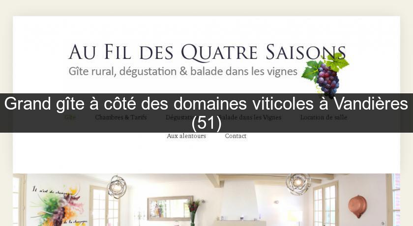 Grand gîte à côté des domaines viticoles à Vandières (51)