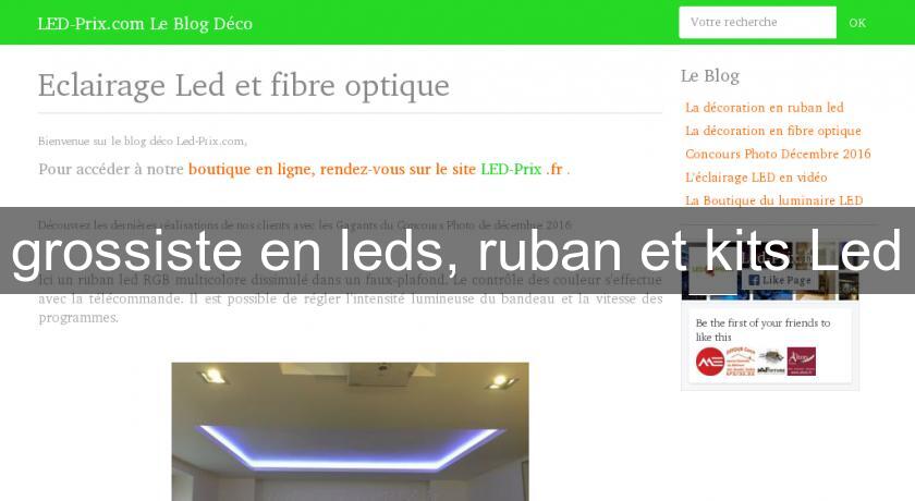 grossiste en leds, ruban et kits Led