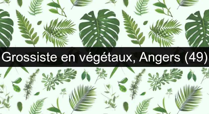 Grossiste en végétaux, Angers (49)