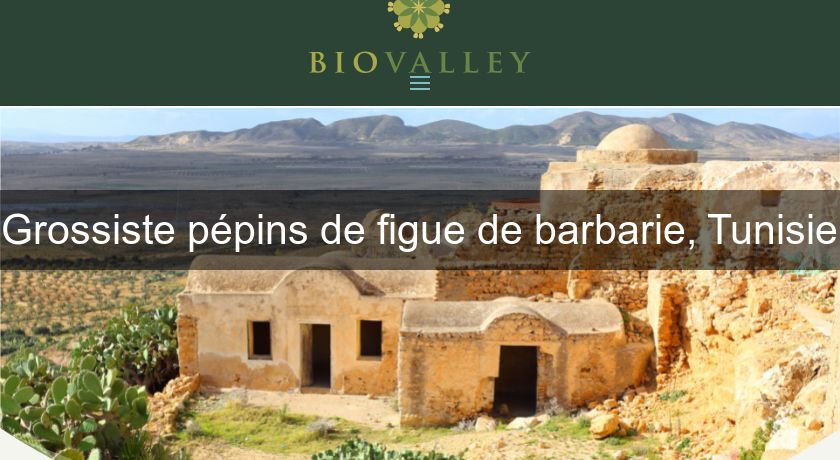 Grossiste pépins de figue de barbarie, Tunisie