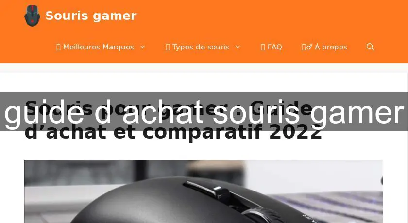 guide d'achat souris gamer