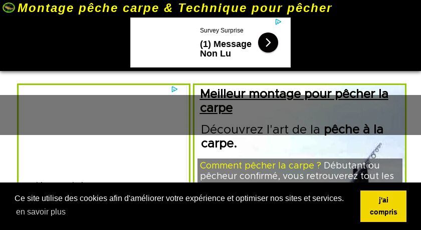 Guide de la pêche à la carpe Guide de la pêche à la carpe