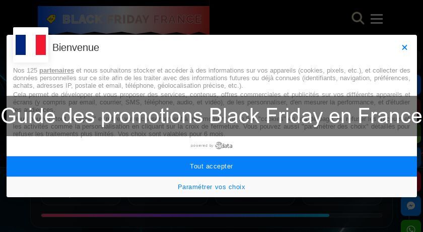 Guide des promotions Black Friday en France