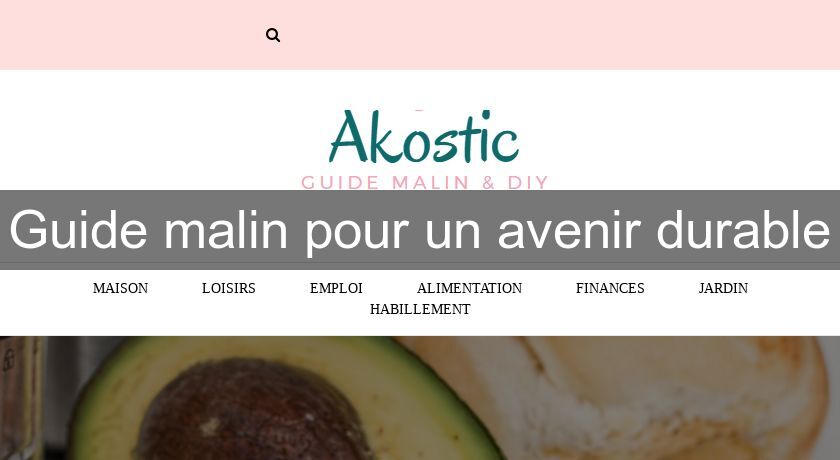 Guide malin pour un avenir durable Guide malin pour un avenir durable