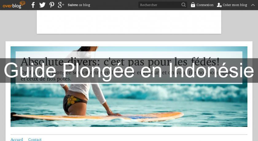 Guide Plongée en Indonésie Guide Plongée en Indonésie