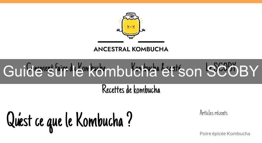 Guide sur le kombucha et son SCOBY Guide sur le kombucha et son SCOBY