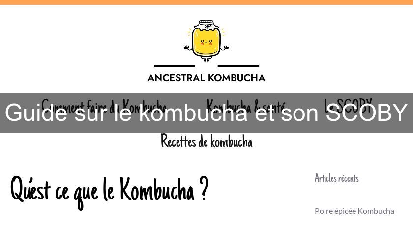 Guide sur le kombucha et son SCOBY