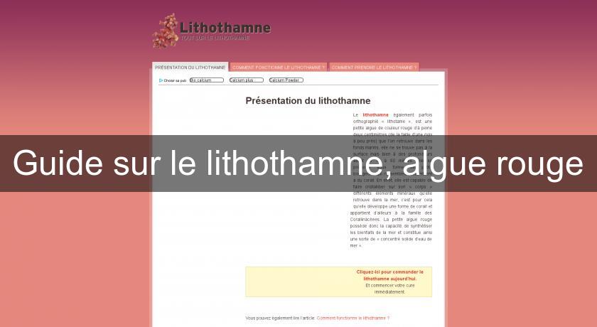 Guide sur le lithothamne, algue rouge Guide sur le lithothamne, algue rouge