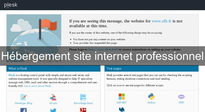 Hébergement site internet professionnel