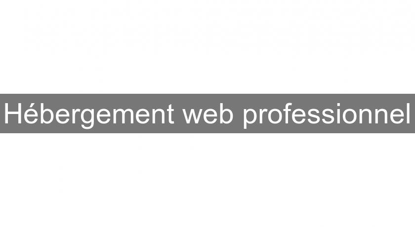 Hébergement web professionnel