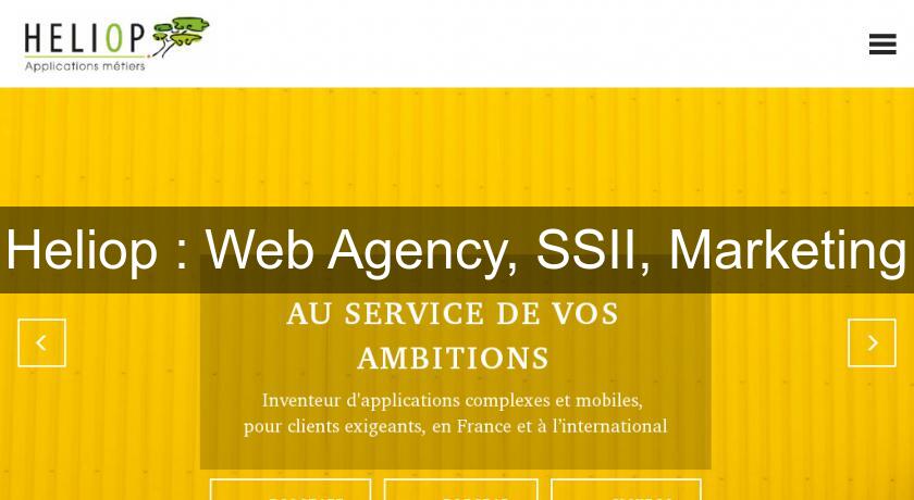 Heliop : Web Agency, SSII, Marketing
