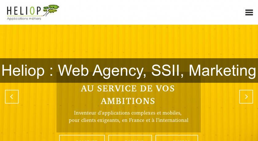 Heliop : Web Agency, SSII, Marketing Heliop : Web Agency, SSII, Marketing