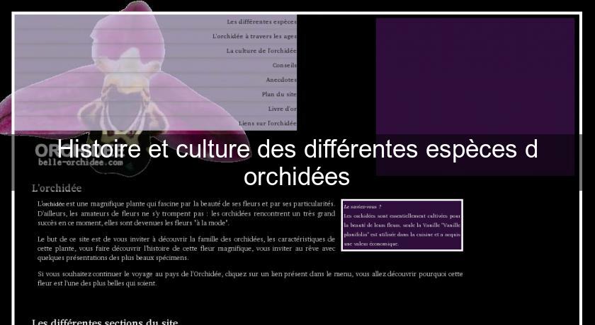 Histoire et culture des différentes espèces d'orchidées Histoire et culture des différentes espèces d'orchidées