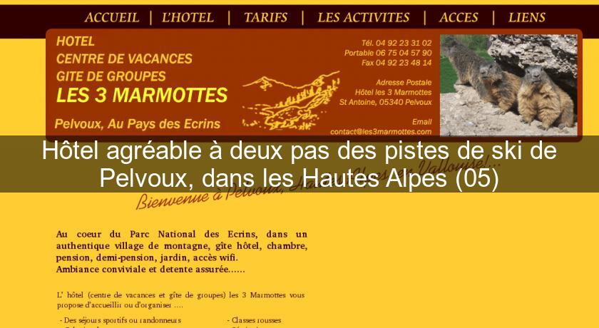Hôtel agréable à deux pas des pistes de ski de Pelvoux, dans les Hautes Alpes (05) Hôtel agréable à deux pas des pistes de ski de Pelvoux, dans les Hautes Alpes (05)