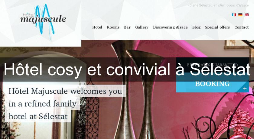 Hôtel cosy et convivial à Sélestat Hôtel cosy et convivial à Sélestat