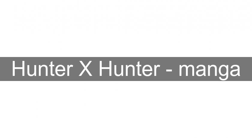 Hunter X Hunter - manga Hunter X Hunter - manga