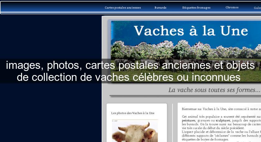 images, photos, cartes postales anciennes et objets de collection de vaches célèbres ou inconnues images, photos, cartes postales anciennes et objets de collection de vaches célèbres ou inconnues