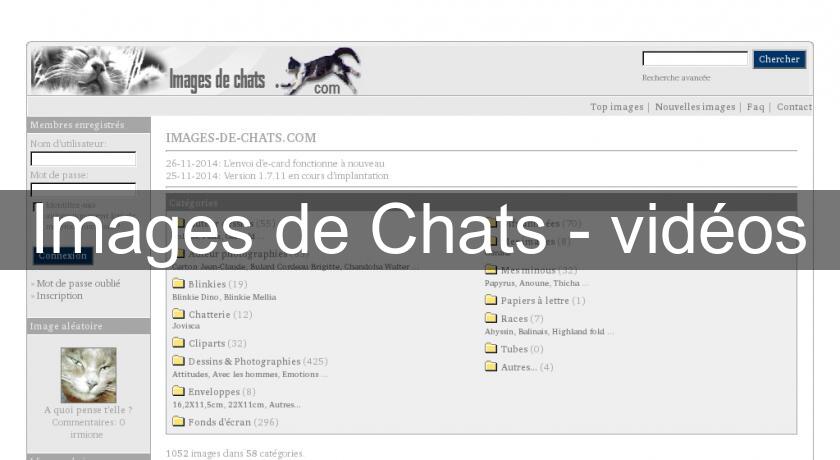 Images de Chats - vidéos Images de Chats - vidéos