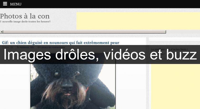 Images drôles, vidéos et buzz Images drôles, vidéos et buzz