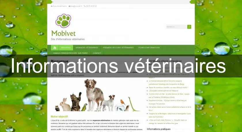 Informations vétérinaires 
