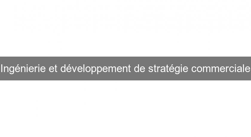 Ingénierie et développement de stratégie commerciale Ingénierie et développement de stratégie commerciale