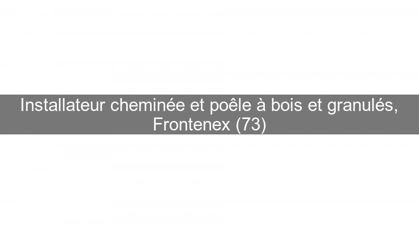 Installateur cheminée et poêle à bois et granulés, Frontenex (73) Installateur cheminée et poêle à bois et granulés, Frontenex (73)