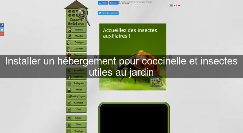 Installer un hébergement pour coccinelle et insectes utiles au jardin