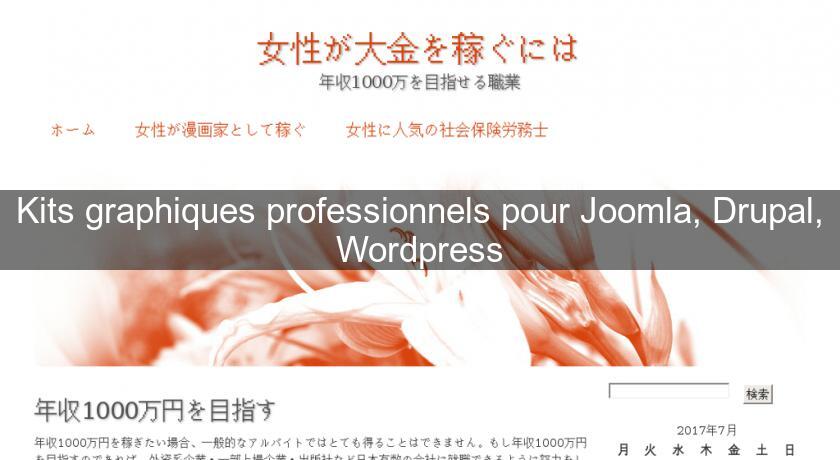 Kits graphiques professionnels pour Joomla, Drupal, Wordpress