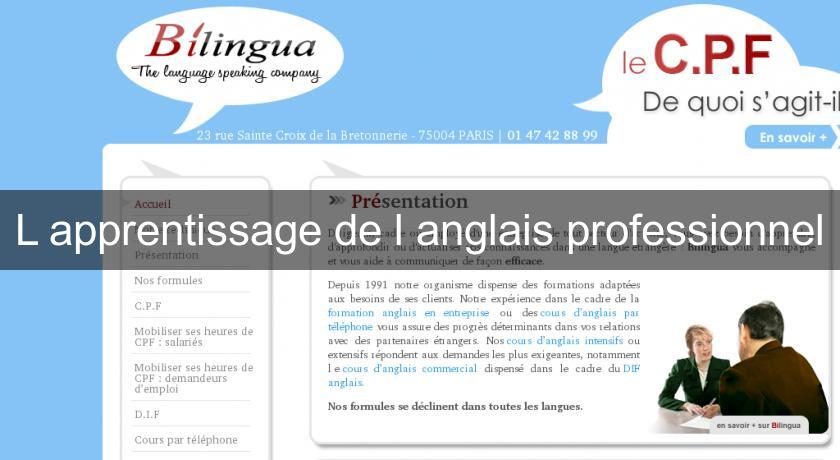L'apprentissage de l'anglais professionnel L'apprentissage de l'anglais professionnel