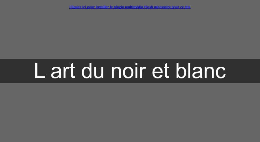 L'art du noir et blanc