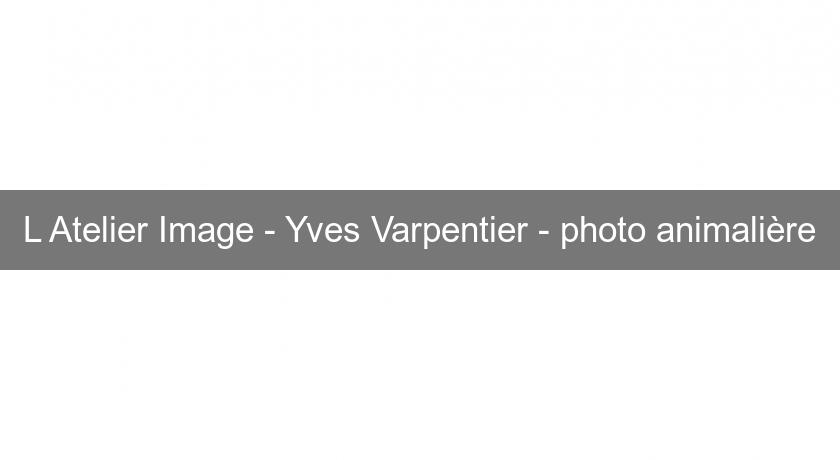 L'Atelier Image - Yves Varpentier - photo animalière