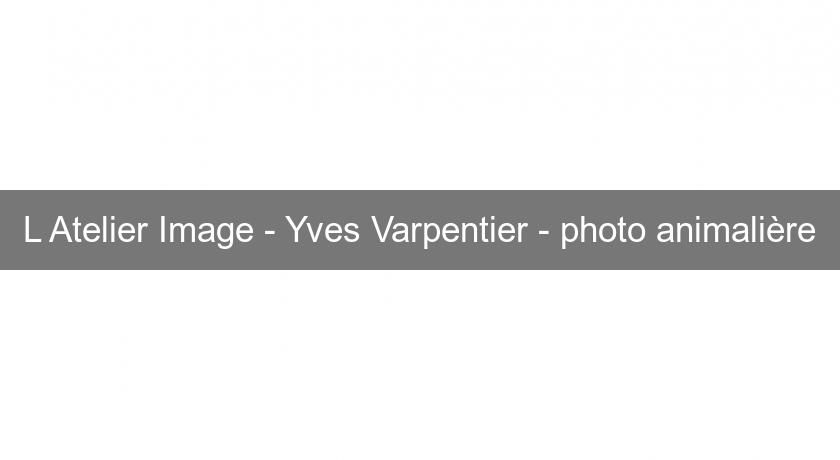L'Atelier Image - Yves Varpentier - photo animalière L'Atelier Image - Yves Varpentier - photo animalière