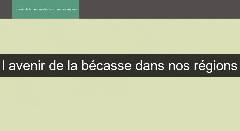 l'avenir de la bécasse dans nos régions l'avenir de la bécasse dans nos régions