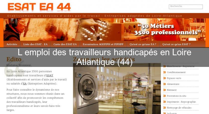 L'emploi des travailleurs handicapés en Loire Atlantique (44) L'emploi des travailleurs handicapés en Loire Atlantique (44)