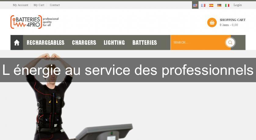 L'énergie au service des professionnels L'énergie au service des professionnels