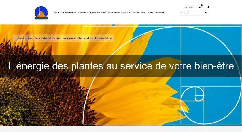 L'énergie des plantes au service de votre bien-être L'énergie des plantes au service de votre bien-être