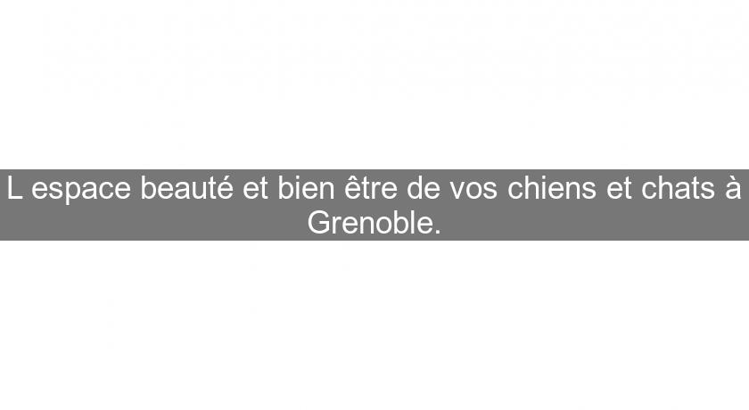 L'espace beauté et bien être de vos chiens et chats à Grenoble. L'espace beauté et bien être de vos chiens et chats à Grenoble.