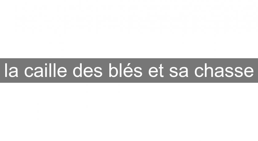 la caille des blés et sa chasse la caille des blés et sa chasse