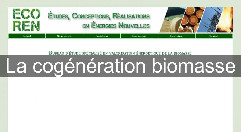 La cogénération biomasse