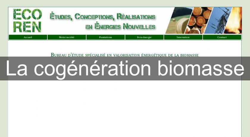 La cogénération biomasse La cogénération biomasse