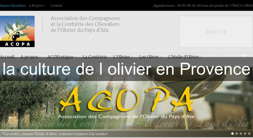 la culture de l'olivier en Provence la culture de l'olivier en Provence