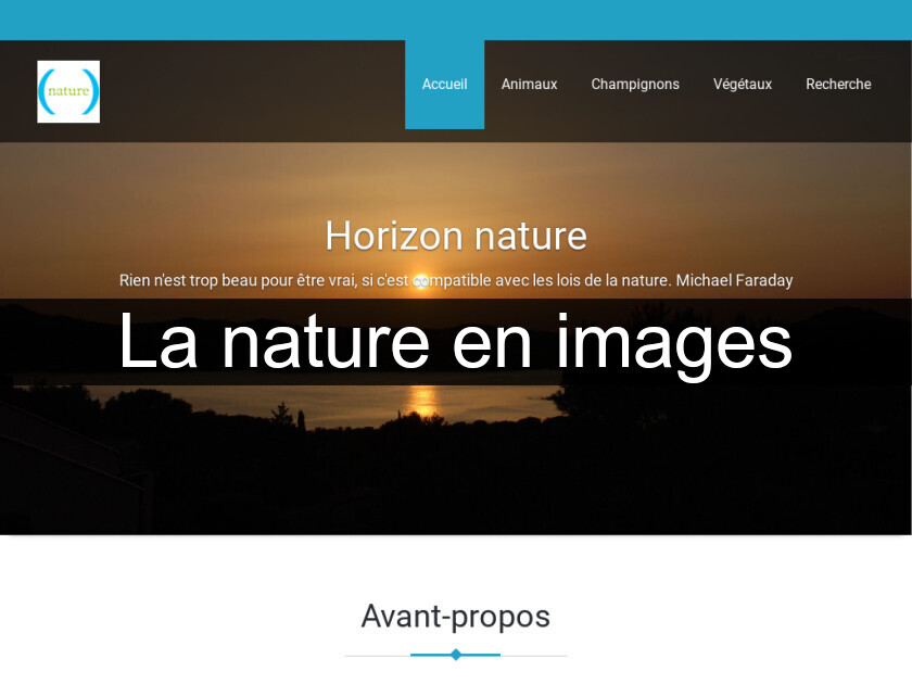 La nature en images La nature en images