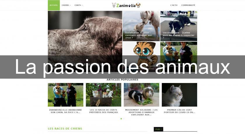 La passion des animaux La passion des animaux