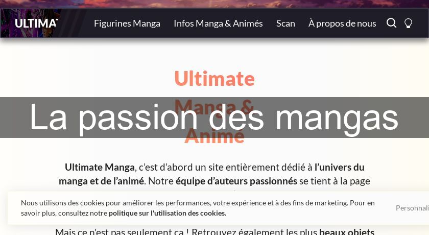 La passion des mangas