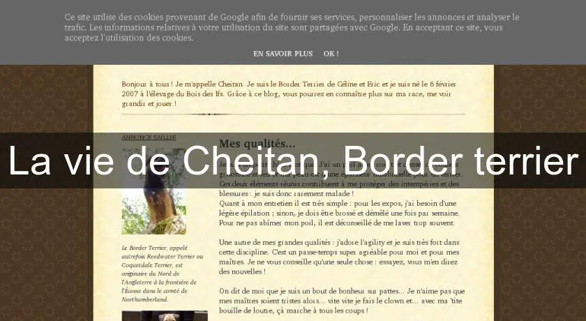 La vie de Cheitan, Border terrier