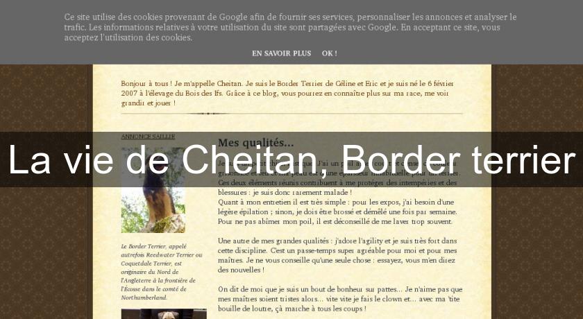La vie de Cheitan, Border terrier La vie de Cheitan, Border terrier