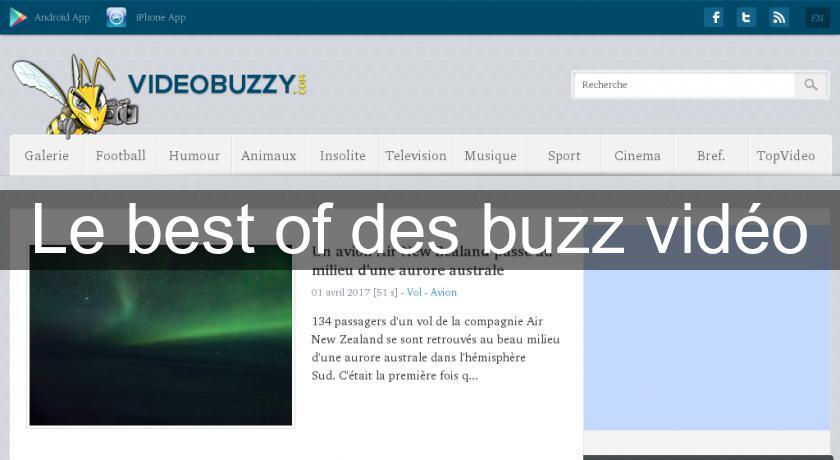 Le best of des buzz vidéo Le best of des buzz vidéo