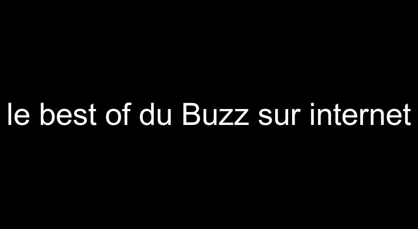 le best of du Buzz sur internet