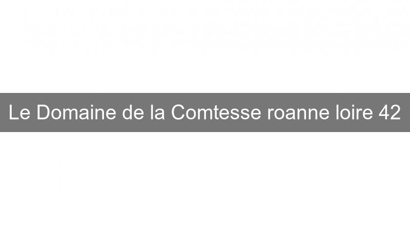 Le Domaine de la Comtesse roanne loire 42